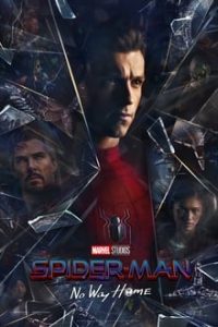 Nonton Spider-Man: No Way Home 2021 Sub Indo