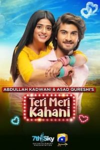 Teri Meri Kahani